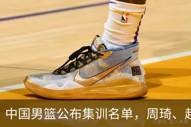 中国男篮公布集训名单，周琦、赵睿、张镇麟落选